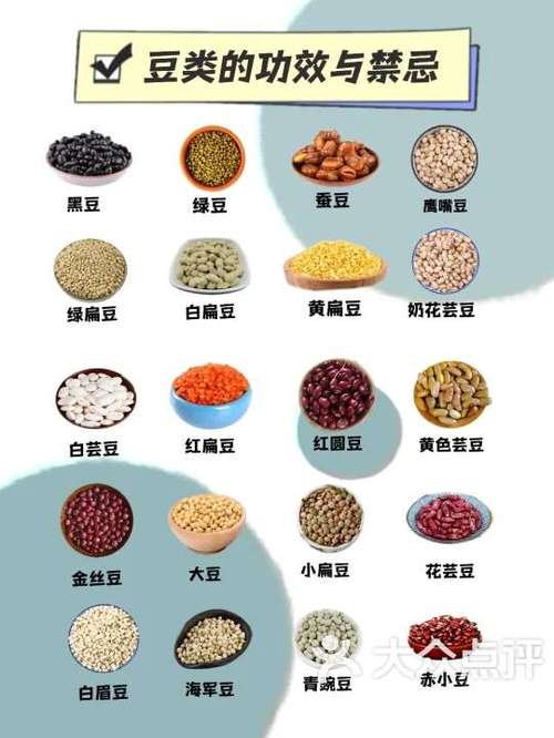 100种豆类名称图片缩略图