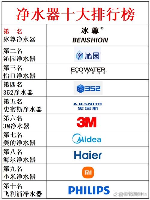 公认十大净水器排名截图