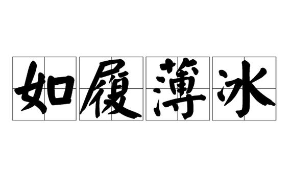 履什么什么什么成语