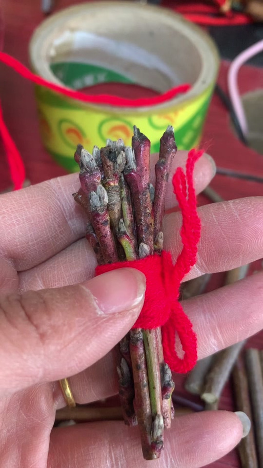 五色线缠桃树枝最忌讳什么