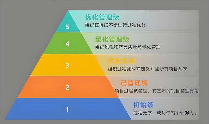 tmmi5级认证