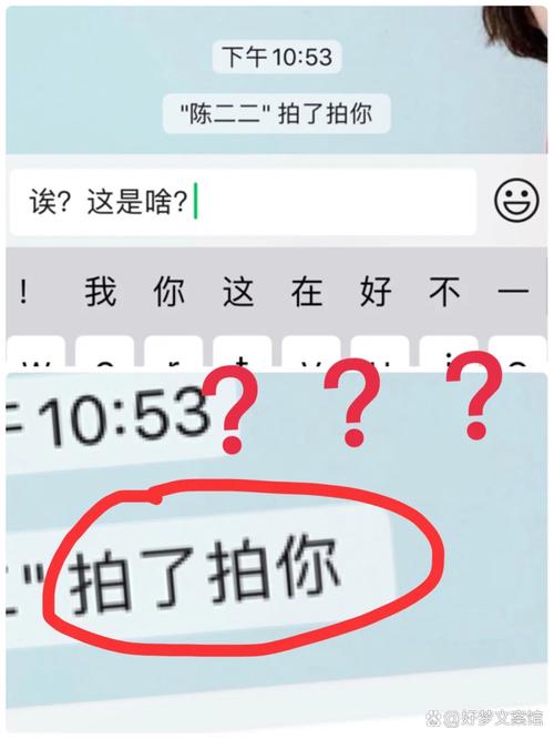 没聊天记录怎么拍一拍对方