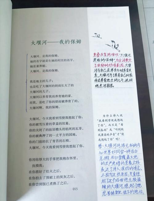 镜子内容概括