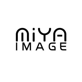 miya的读音游戏截图