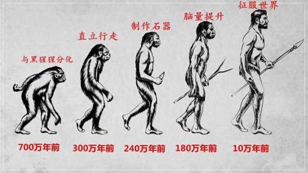 人类祖先的6个动物