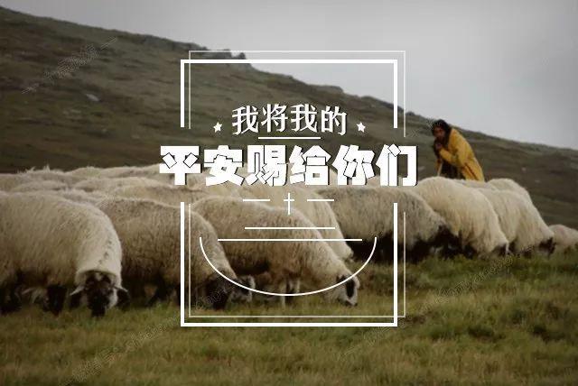 我所赐的平安不像世人所赐的