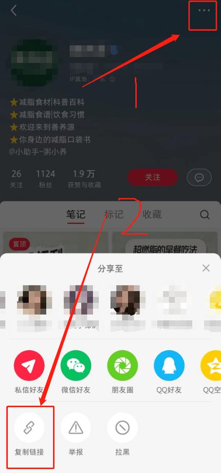 链接提取id网站