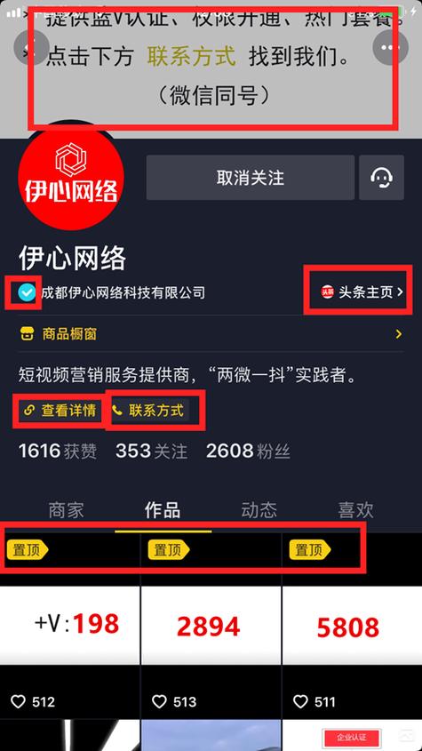 蓝v软件截图