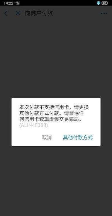 扫码付款付不了怎么回事