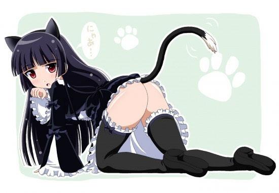 筋肉猫娘动画
