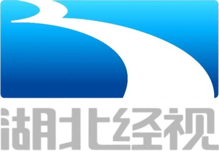 湖北网络广播电视台游戏截图