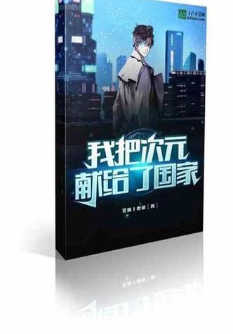 我把次元献给了国家游戏截图
