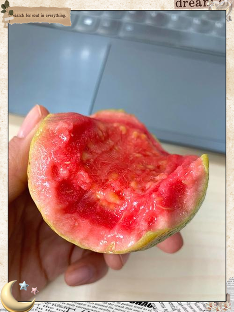 白色芭乐好吃还是红色