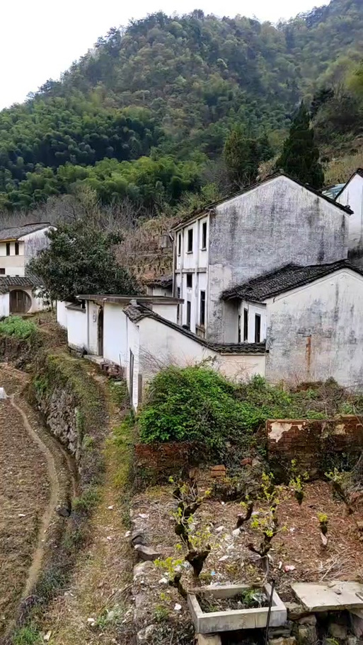 萌坑村