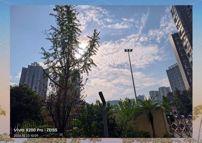 vivo相机水印图片图标