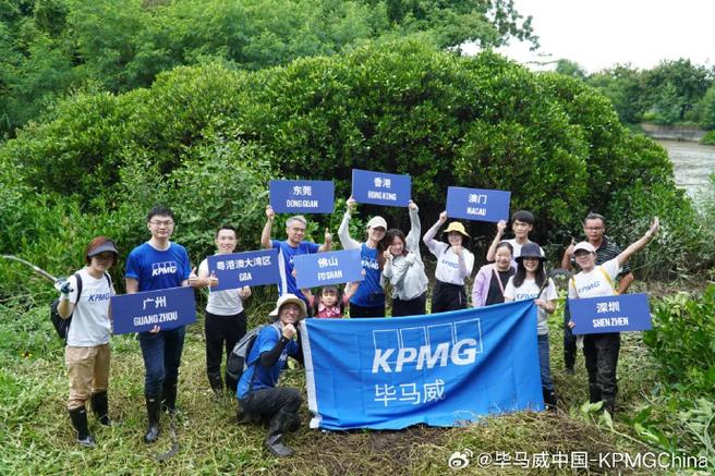 佛山毕马威待遇怎么样