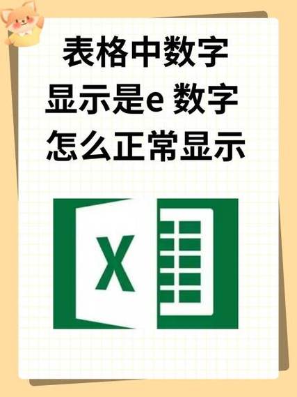 数字里的e是什么意思图标