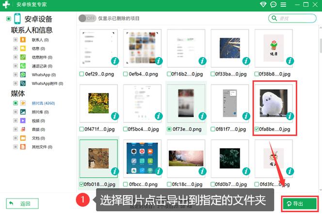 照片备份缩略图