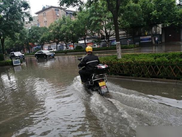 电动车前面装水的叫什么
