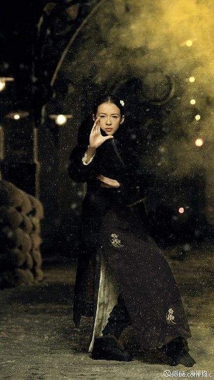 穿越一代宗师宫家义子