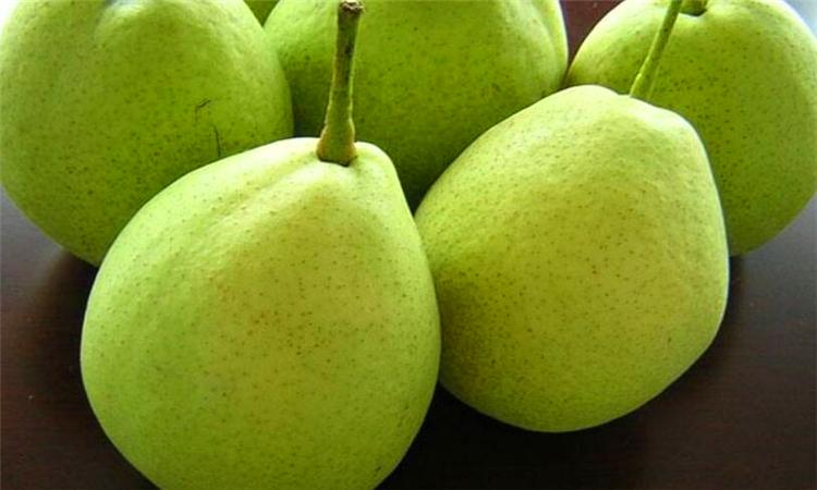 pear是什么意思缩略图