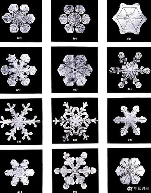 雪花内核免费下载缩略图