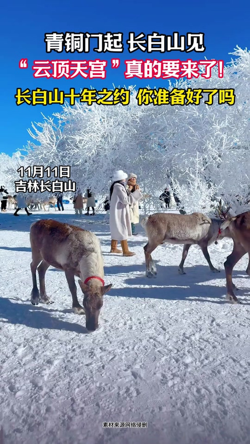 十年之约长白山日期