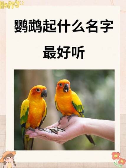 旺主人的鹦鹉名字