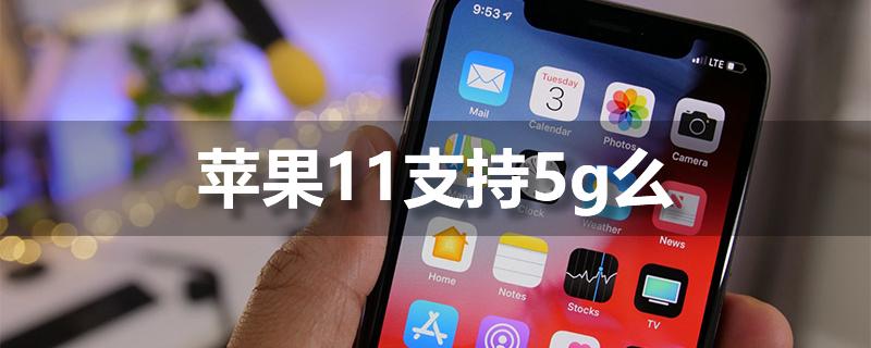 iphone11支持5g网络吗缩略图