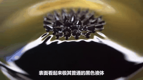 现实版毒液