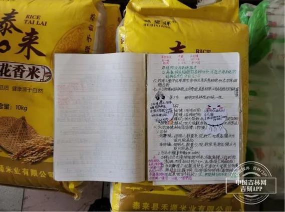 姐姐高考奖励小说缩略图