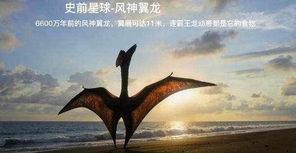 作者翼龙的作品