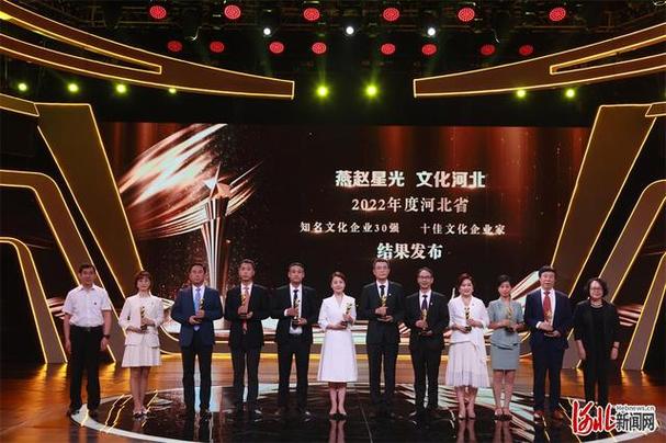 河北网络广播电视台直播游戏截图