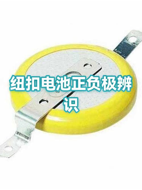 一长一短哪个是正极