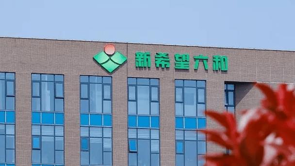 和邦生物还有希望吗