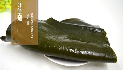 海带批发联系方式