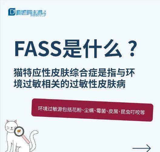 猫咪过敏源测试
