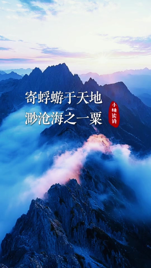 寄蜉蝣于天地下一句图标