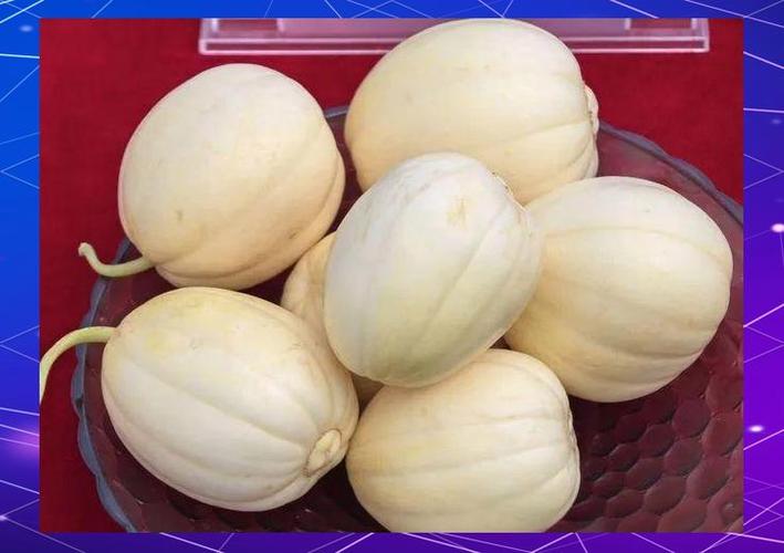 蜜瓜和香瓜的区别缩略图