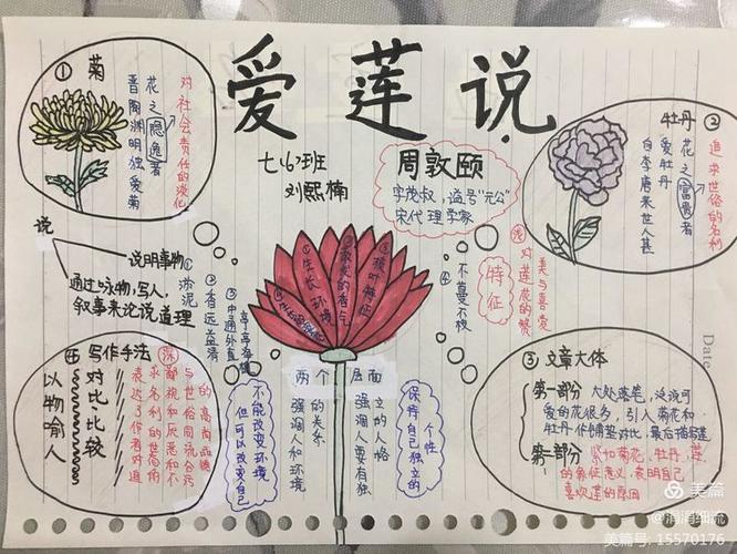 爱莲说初中几年级