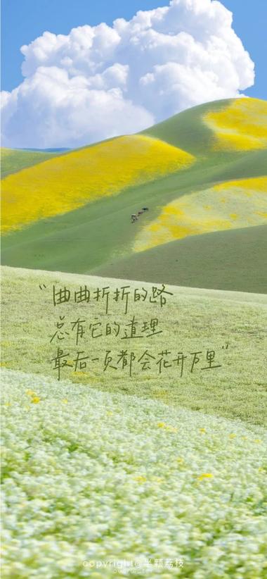 手机壁纸励志文字图片缩略图