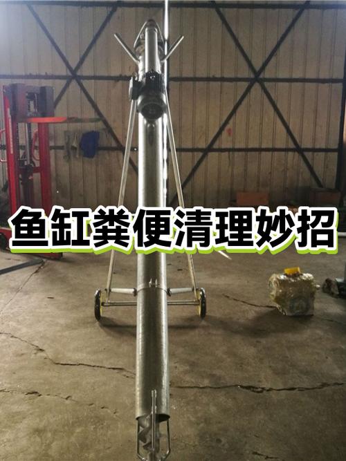 鱼缸的粪便怎么处理好游戏截图