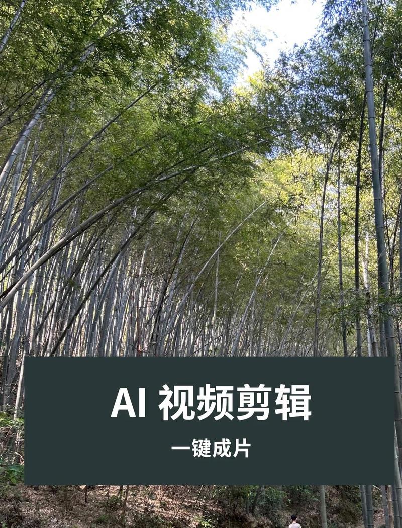 一键成片哪个工具最好用还免费