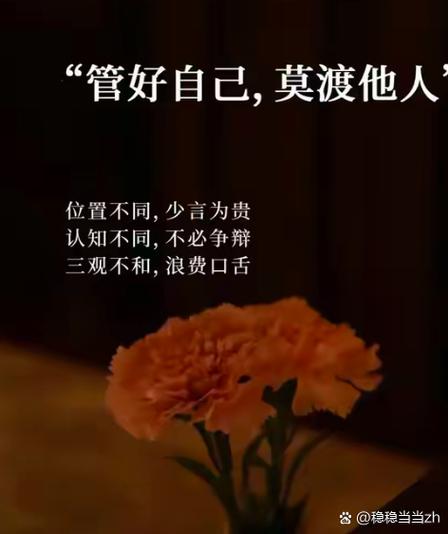 不渡他人前一句缩略图