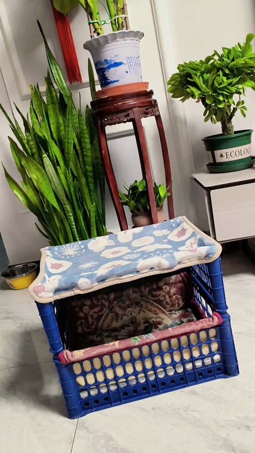 自制狗窝最简单的做法