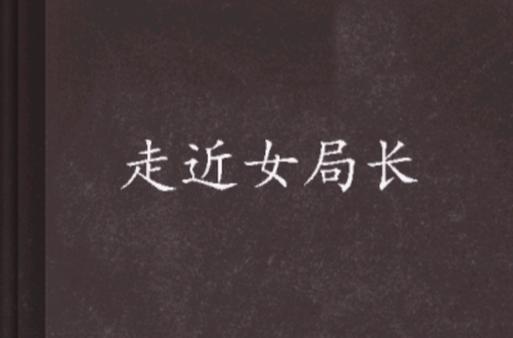 离异的女局长小说截图