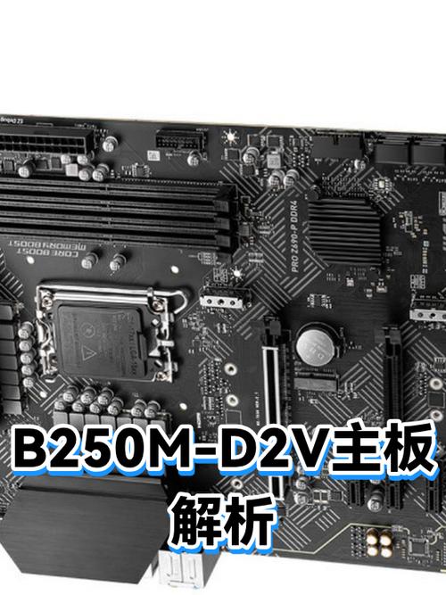 b250m用什么内存