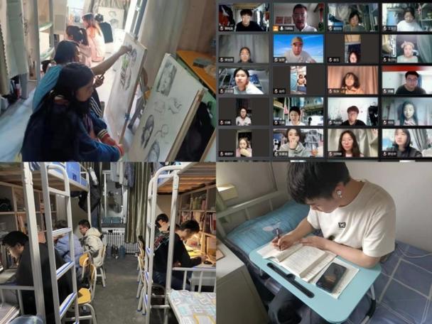 大学生网课怎么上