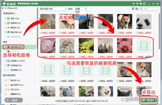 视频恢复有免费的吗