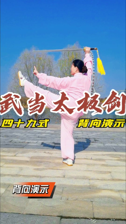 武当49剑全套演练